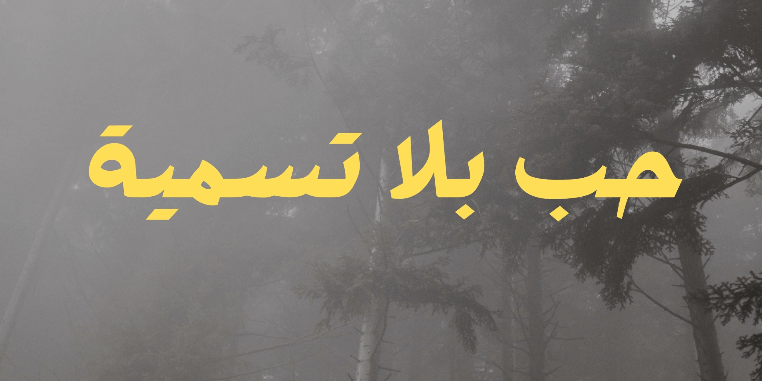 الثاني المميز