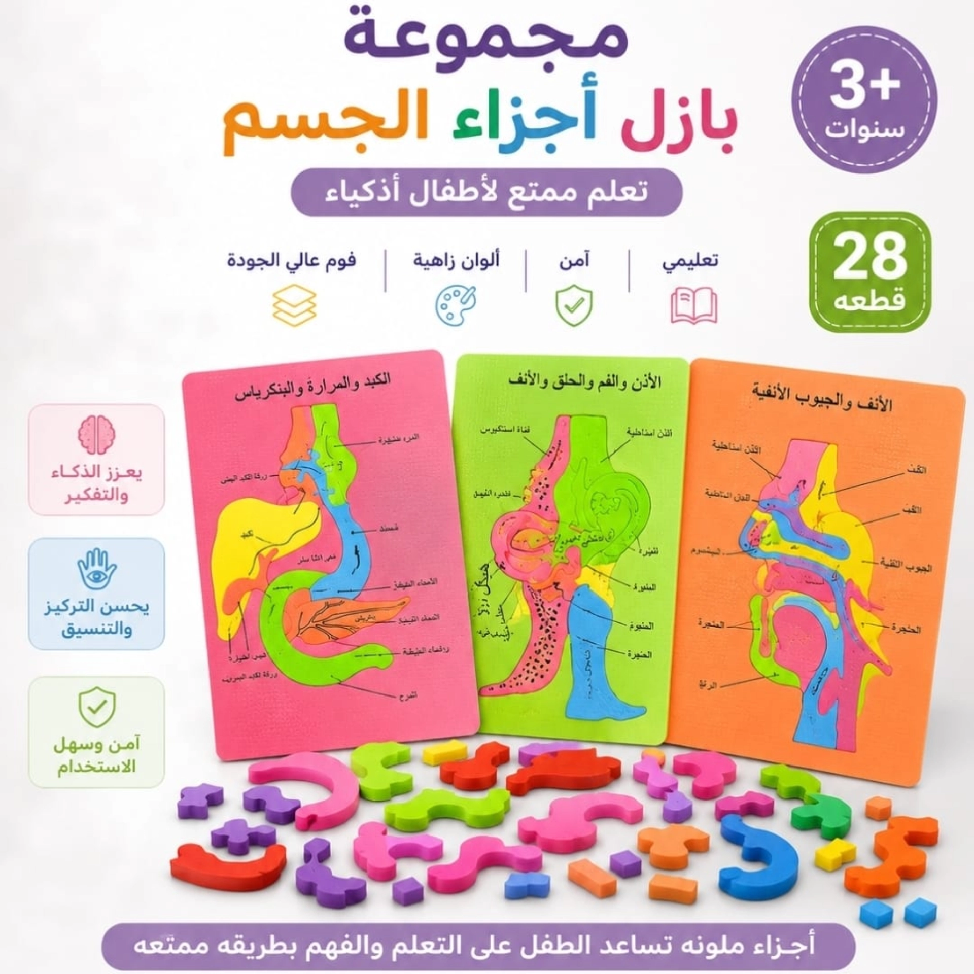 لغز تعليمي جسم الانسان